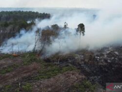 KLHK tindak tegas perusak lingkungan cegah bencana hidrometeorologi