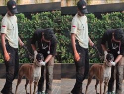 Penyebar Video Security Plaza Indonesia yang Pukul Anjing Pelacak Minta Maaf