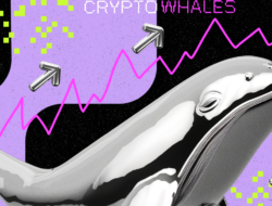 3 Altcoin Incaran Crypto Whale untuk Potensi Profit September